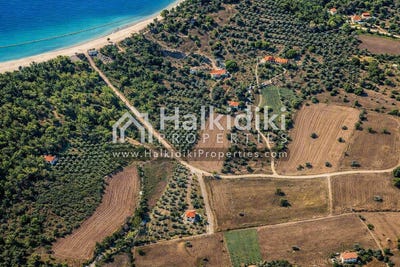 /international/gr/megali-panagia-macedonia-thrace-310108870502/