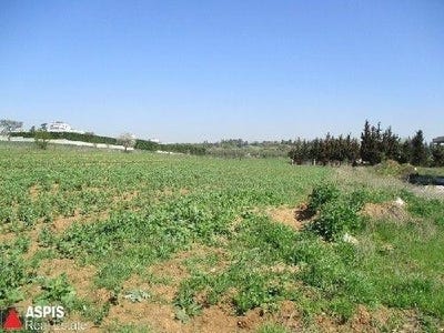 /international/gr/agia-zoni-aegean-310098744092/