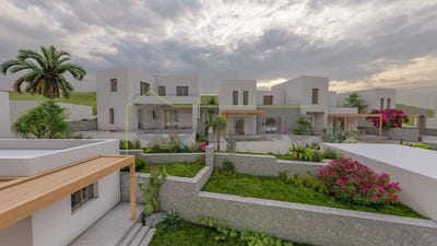 /international/gr/aspro-chorio-aegean-310107025007/