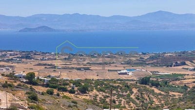 /international/gr/kostos-aegean-310107024740/