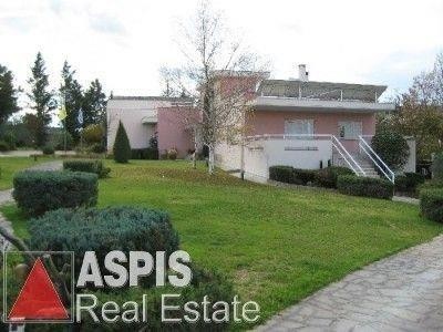 /international/gr/tagarades-macedonia-thrace-310098710088/?lang=zh-tw