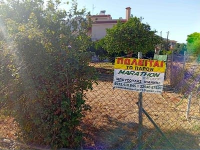 /international/gr/nea-makri-attica-310120546687/
