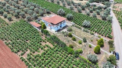 /international/gr/πετροβουνι-peloponnese-western-greece-and-ionian-120093575685/