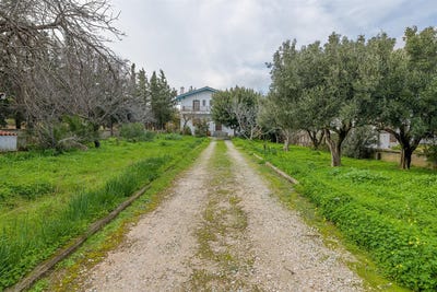 /international/gr/ntrafi-attica-310105422338/