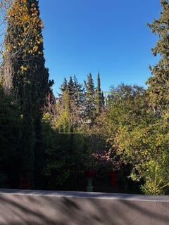 /international/gr/kifissia-attica-310106681867/