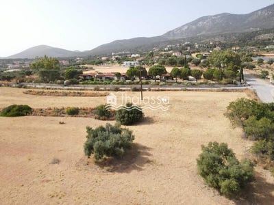 /international/gr/vlahata-peloponnese-western-greece-and-ionian-310098735467/