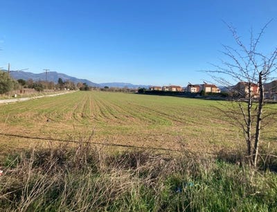 /international/gr/tagarades-macedonia-thrace-310108008257/