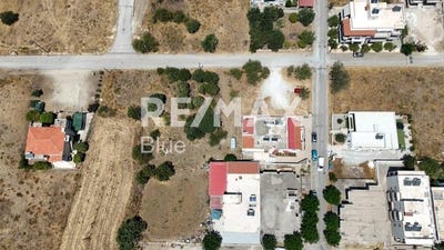 /international/gr/zipari-aegean-310102115579/