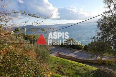 /international/gr/kedro-aegean-310101185428/?lang=zh-tw