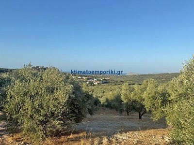 /international/gr/platania-crete-310108705323/