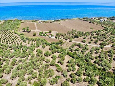 /international/gr/kiparissia-peloponnese-western-greece-and-ionian-310106576385/