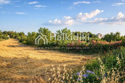 /international/gr/kassandra-macedonia-thrace-310108870782/