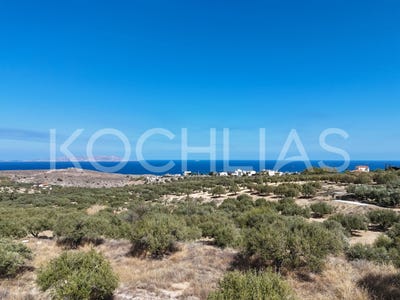 /international/gr/batheianos-kampos-crete-310109330372/