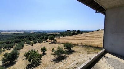 /international/gr/elafina-macedonia-thrace-310103729928/