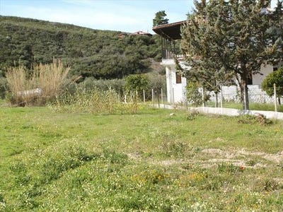 /international/gr/kassandra-macedonia-thrace-310103785472/