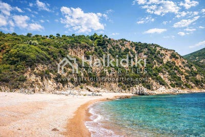 /international/gr/megali-panagia-macedonia-thrace-310108871122/