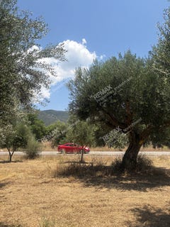 /international/gr/arfara-peloponnese-western-greece-and-ionian-310109045584/?lang=es