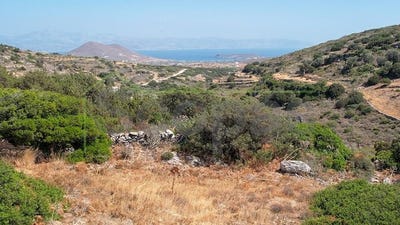 /international/gr/kostos-aegean-310107025804/