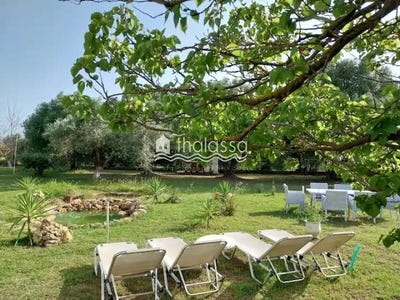/international/gr/ntomata-peloponnese-western-greece-and-ionian-310096820651/
