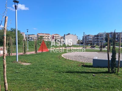 /international/gr/pilea-macedonia-thrace-310107046295/
