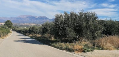 /international/gr/kouses-crete-310110413712/