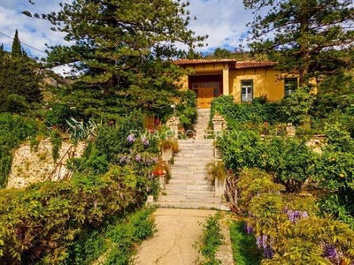 /international/gr/katounia-thessaly-central-greece-310102787121/