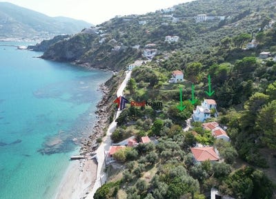 /international/gr/skopelos-thessaly-central-greece-310100226043/?lang=en