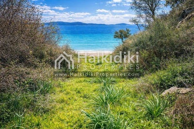 /international/gr/megali-panagia-macedonia-thrace-310108871099/