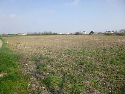 /international/gr/pieria-prefecture-makedonia-thrace-310103785434/