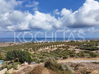 /international/gr/batheianos-kampos-crete-310109280614/