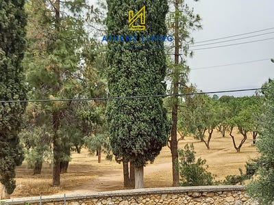 /international/gr/marousi-attica-120092245305/