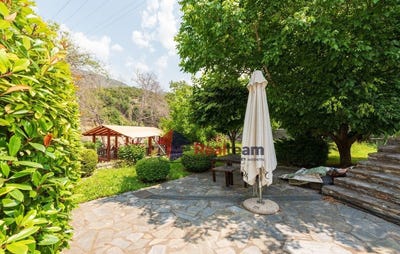 /international/gr/agios-onoufrios-thessaly-central-greece-310108189183/