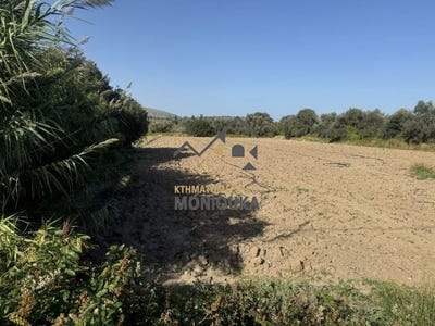 /international/gr/agios-dimitrios-attica-310109100333/