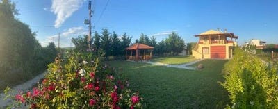 /international/gr/orfano-crete-310103730485/