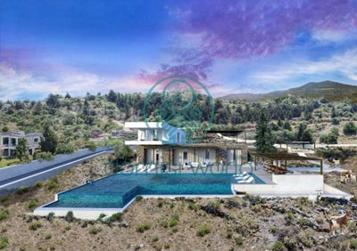 /international/gr/kefalas-crete-310110054002/