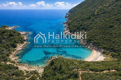 /international/gr/sarti-macedonia-thrace-310108871225/