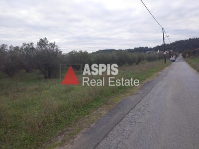 /international/gr/tagarades-macedonia-thrace-310105517655/