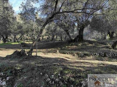 /international/gr/corfu-peloponnese-western-greece-and-ionian-310108136956/