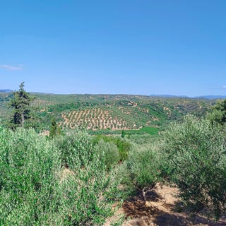 /international/gr/messini-peloponnese-western-greece-and-ionian-310104510794/