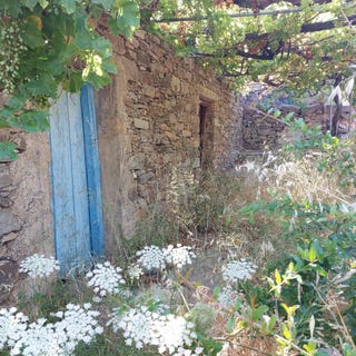 /international/gr/exo-mouliana-crete-120093960003/