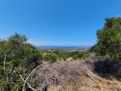 /international/gr/kartsianos-crete-310104210647/