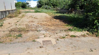 /international/gr/daratsos-crete-310119573266/