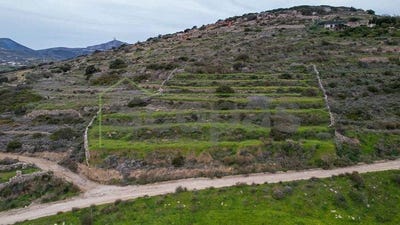 /international/gr/kostos-aegean-310107024729/