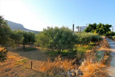 /international/gr/gouves-crete-310103787311/