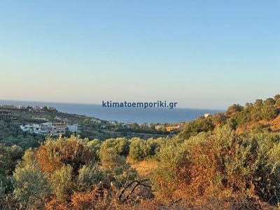 /international/gr/chania-crete-310101997540/