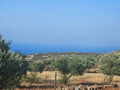 /international/gr/agios-nikolaos-thessaly-central-greece-310099890083/