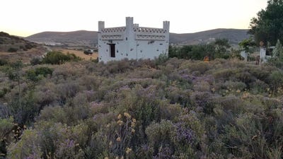 /international/gr/marathi-thessaly-central-greece-310100059093/