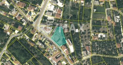 /international/gr/skopelos-thessaly-central-greece-310108789628/