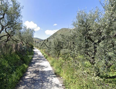 /international/gr/lithakia-peloponnese-western-greece-and-ionian-310100284169/?lang=zh-cn