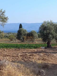 /international/gr/magoula-thessaly-and-central-greece-310100609602/